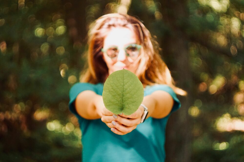 Our Commitment to Sustainability